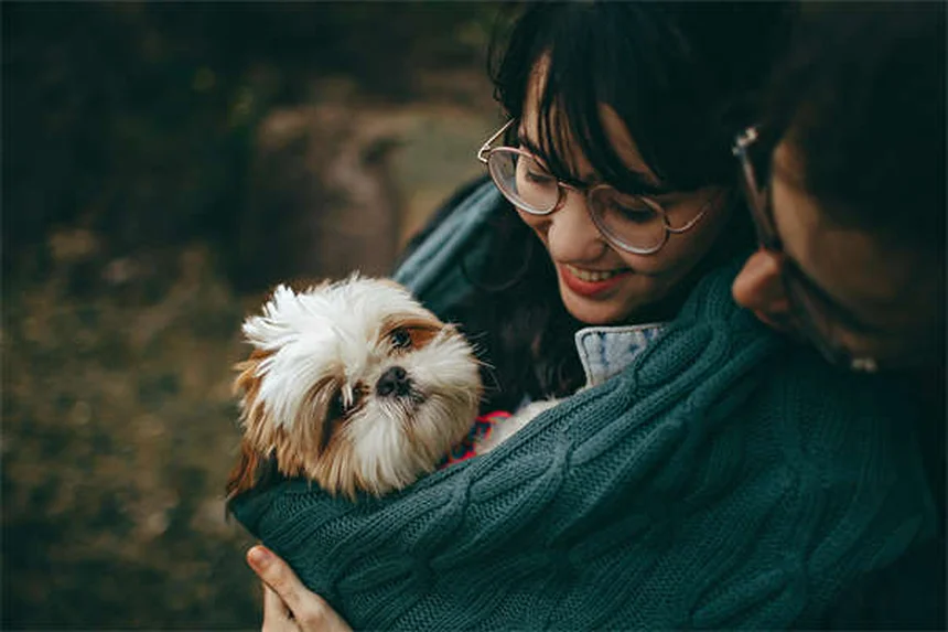 Huiles essentielles pour chiens : guide complet d'utilisation sans danger